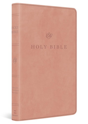 Large print esv bible red - print,