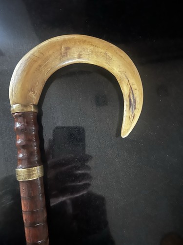 Rams horn handle walking - rams,