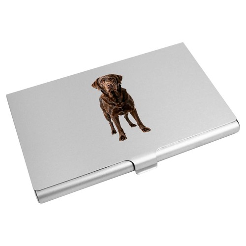 Chocolate labrador retriever - 'chocolate, retriever'