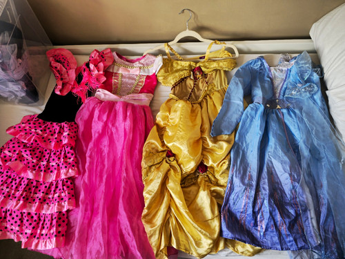 Girls princess dress - girls,