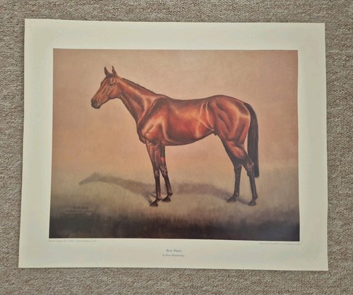 Horseracing horse racing - horseracing,