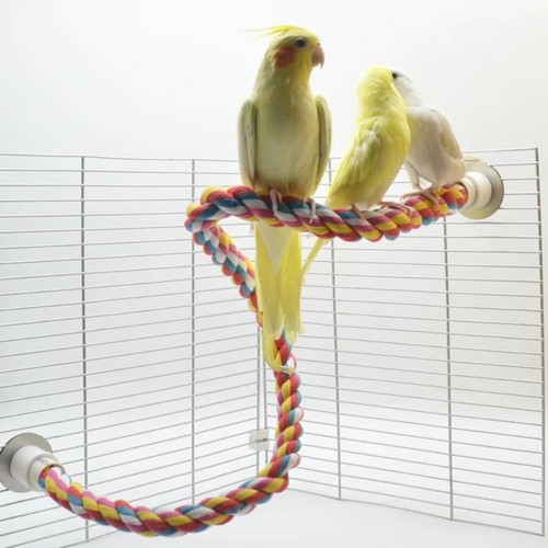 Bird molar toy - bird, durable