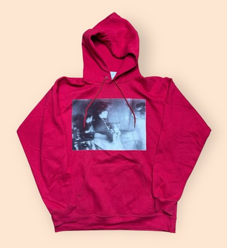 Brand new band hoodie - band, 2009
