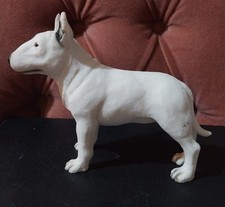 LEONARDO ENGLISH BULL TERRIER