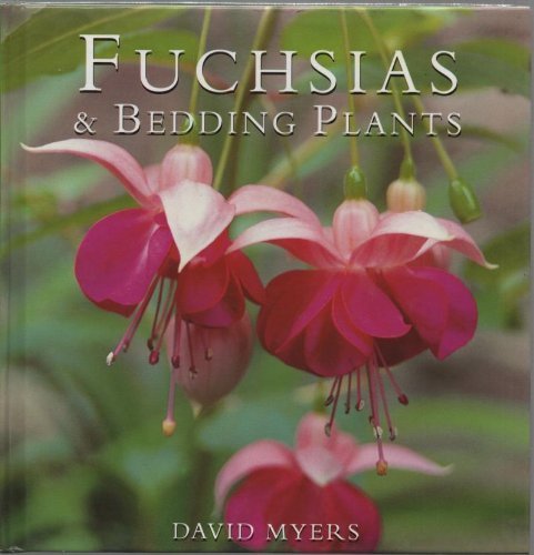 Fuchsias and bedding plants - fuchsias,