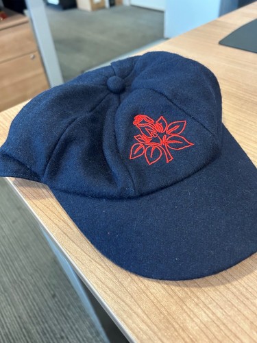 Lancashire wool blend - lancashire, cricket