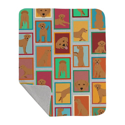 Lots red fox labrador - of,
