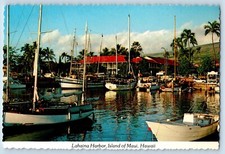 Maui Hawaii HI Postcard