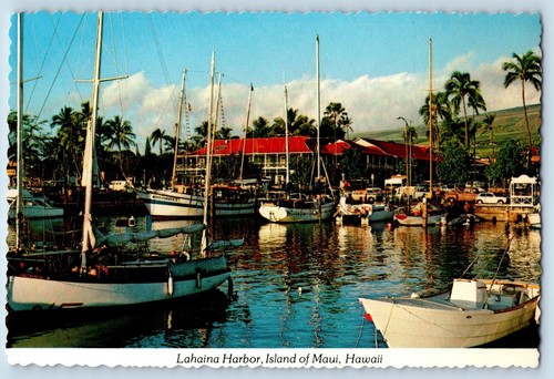 Maui hawaii postcard - hawaii,