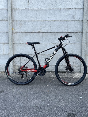 Mountain bike 21 - mountain,