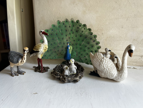 Schleich bird bundle peacock - bird, bundle: