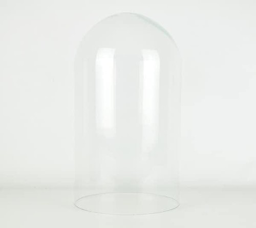 Glass dome display cloche - glass,