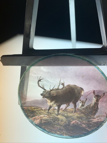Magic lantern victorian glass - magic,