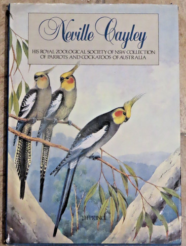 Australian parrots and - parrots,