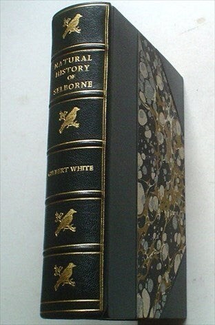 White gilbert natural - gilbert., /