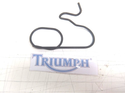 Triumph sprint 1050 right - st,