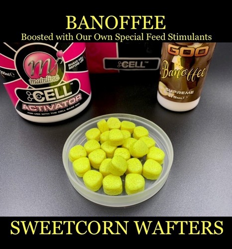 Boilies mainline cell - boilies,