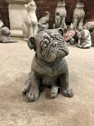 British bulldog puppy - bulldog, dog