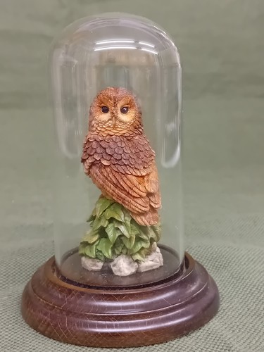 Country artists tawny owl - artists, owl'