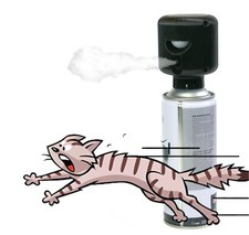 Cat Automatic Air Spray Motion