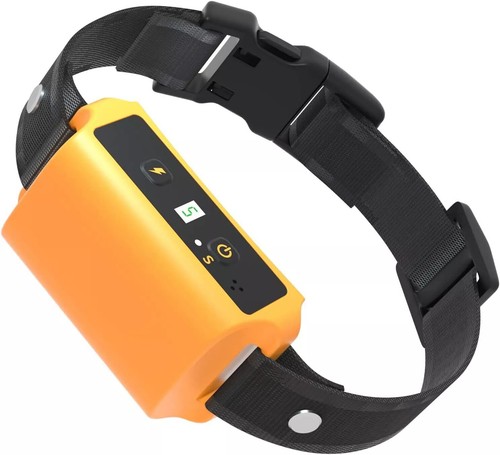 Automatic anti bark barking - anti,