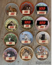 AYNSLEY MEET MY KITTENS CAT