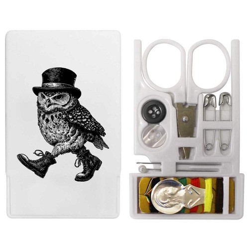 Dapper owl walking - walking, in
