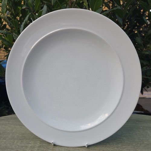 Denby dinner plates in - 1,
