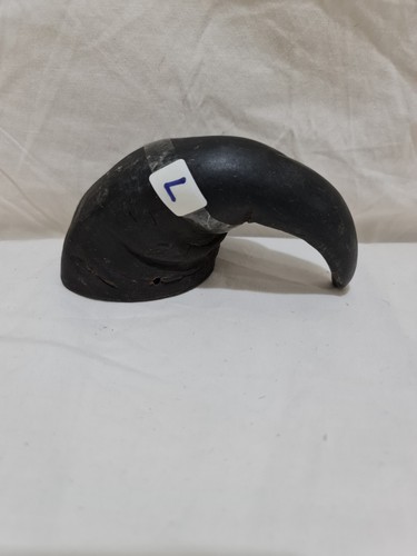 Sheep horn ram crook - sheep, horn/ram