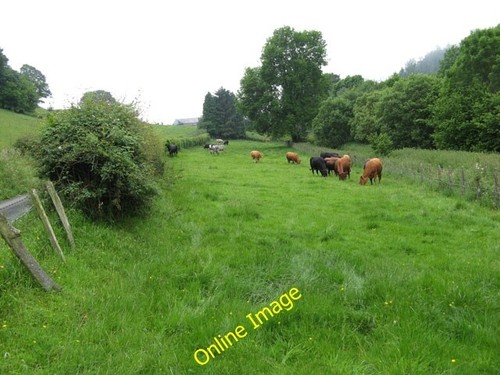 Photo 6x4 grazing land heyope - 6x4,