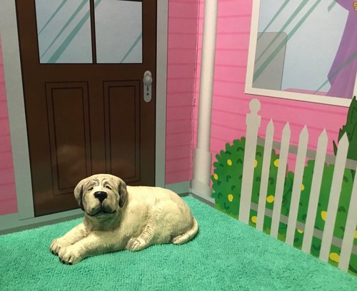 Mastiff decorative dog - mastiff,