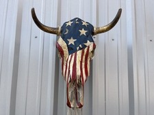 STEER SKULL Painted 19 Inch