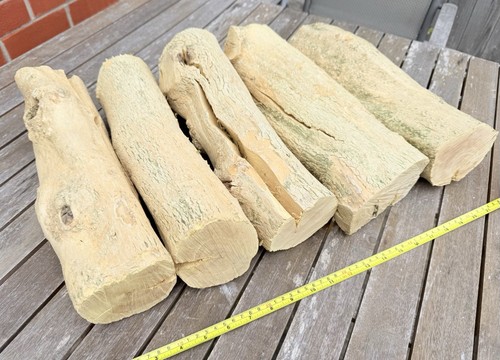 5no boxwood logs one crack - boxwood,