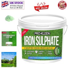 Professional-Grade 2.5 KG Iron