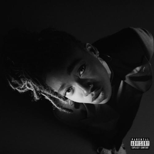 Little simz grey - grey, (vinyl)
