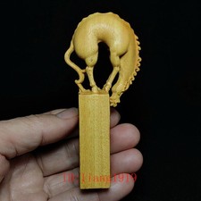 4.2 Inch Chinese Boxwood