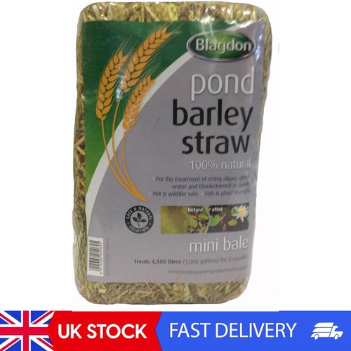 Pond barley straw bale - pond,