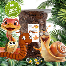 Kiln Dried Leaf Litter / Bio Active for Frogs Millipedes Repitles Snails Isopod