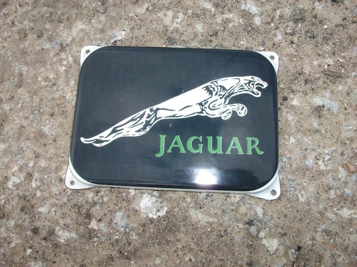 Jaguar genuine porcelain