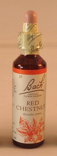 Bach flower remedies red - bach, remedies,