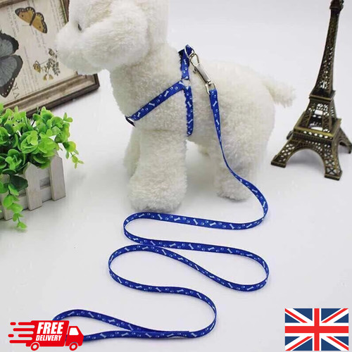 Extra small puppy dog - extra, harness