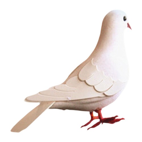 Simulation foam pigeon model - foam,