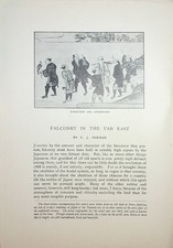 Falconry in the Far East