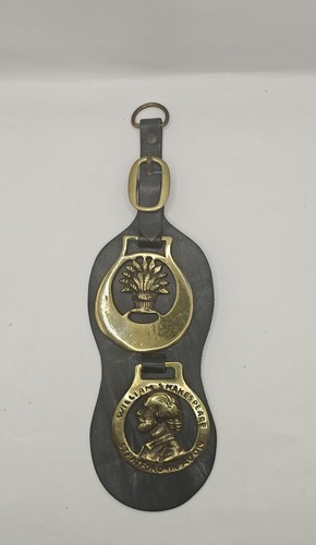 Vintage brass horse brasses - brass,