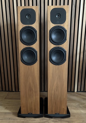 Neat motive sx1 - motive, walnut