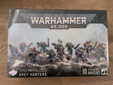 Grey Hunters Space Wolves