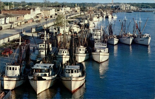 Shrimp boats louisiana - boats, in