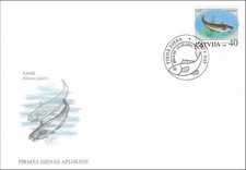 Fishing Wels Catfish Silurus