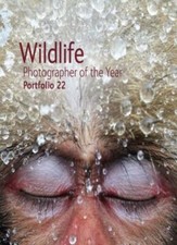 Wildlife Photographer of the