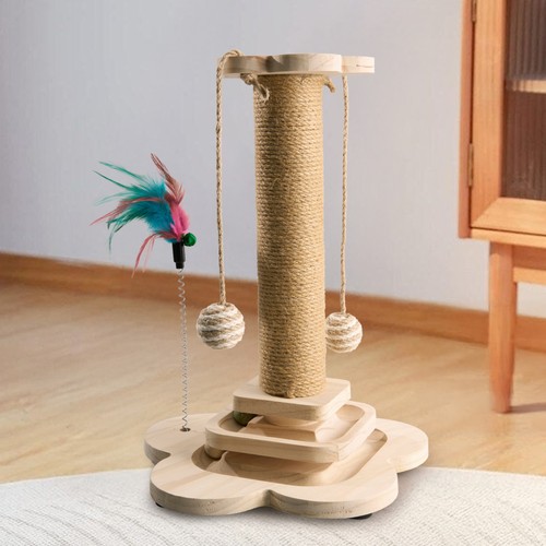 Tall large cat scratching - cat,